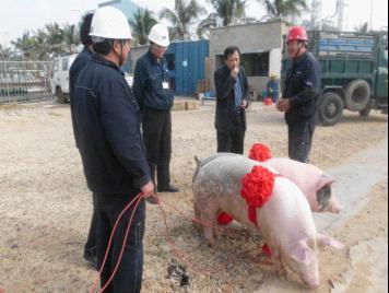 中海油東方石化領(lǐng)導來第六直屬分公司海南海油項目部慰問