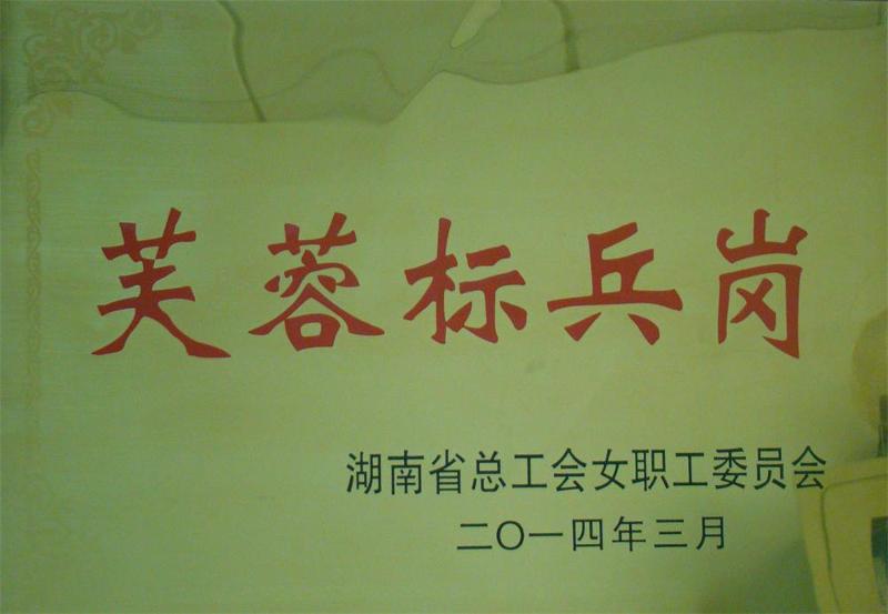 公司技術(shù)信息部榮獲湖南省“芙蓉標(biāo)兵崗”稱(chēng)號(hào)